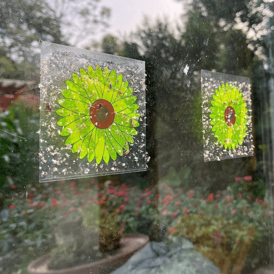 Ultra Sticky Window Fly Traps (x10)